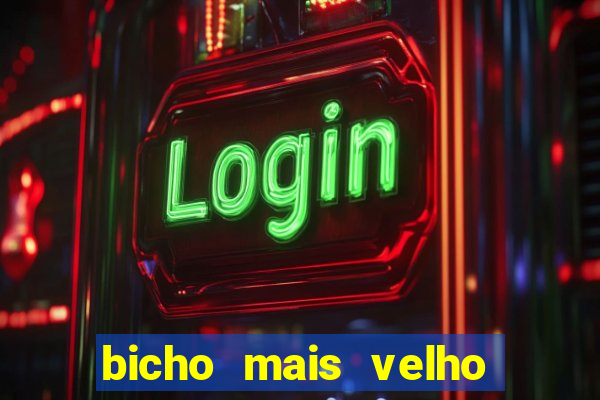 bicho mais velho da loteria dos sonhos